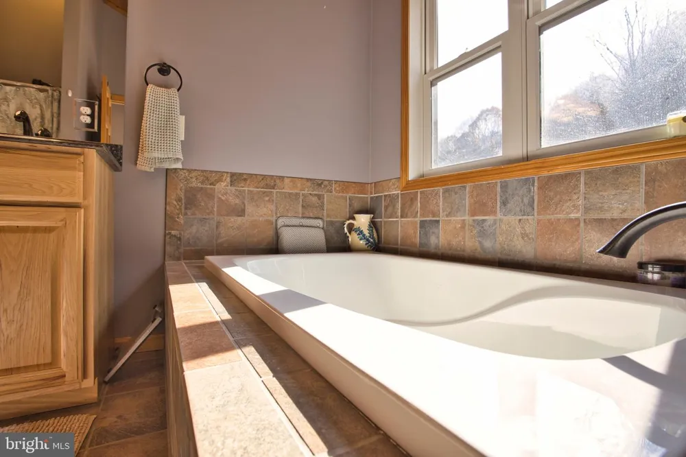 208 SMILEY FACE LANE Mc Henry, MD 21541