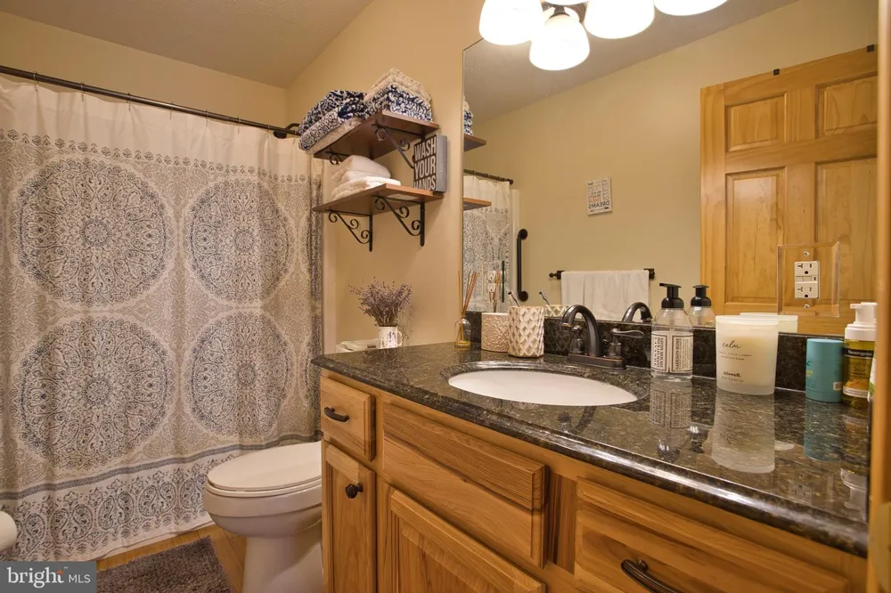208 SMILEY FACE LANE Mc Henry, MD 21541