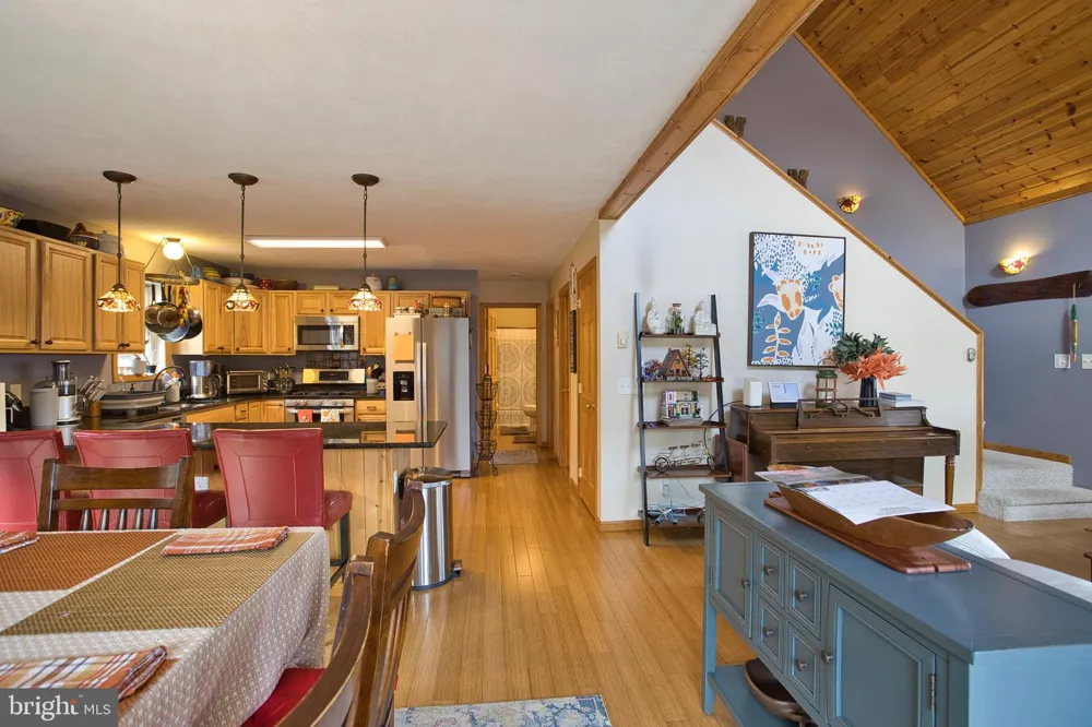 208 SMILEY FACE LANE Mc Henry, MD 21541