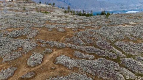 0 Chipmunk Trail Road