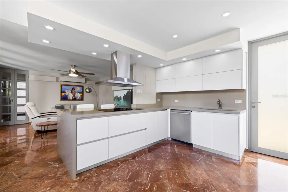 69 ROBLE Guaynabo, PR 00966