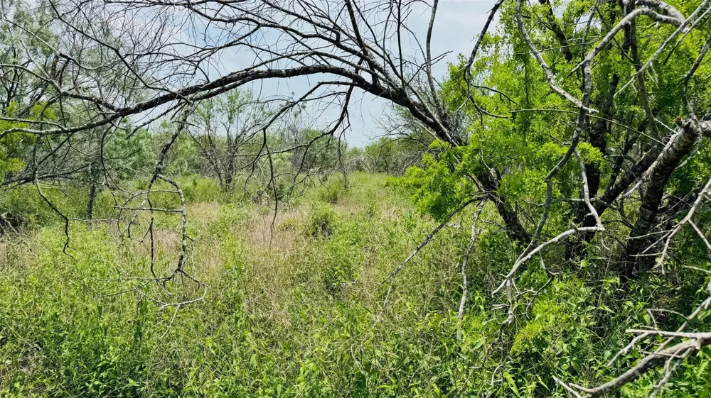 23 Fm 888 Beeville, TX 78102