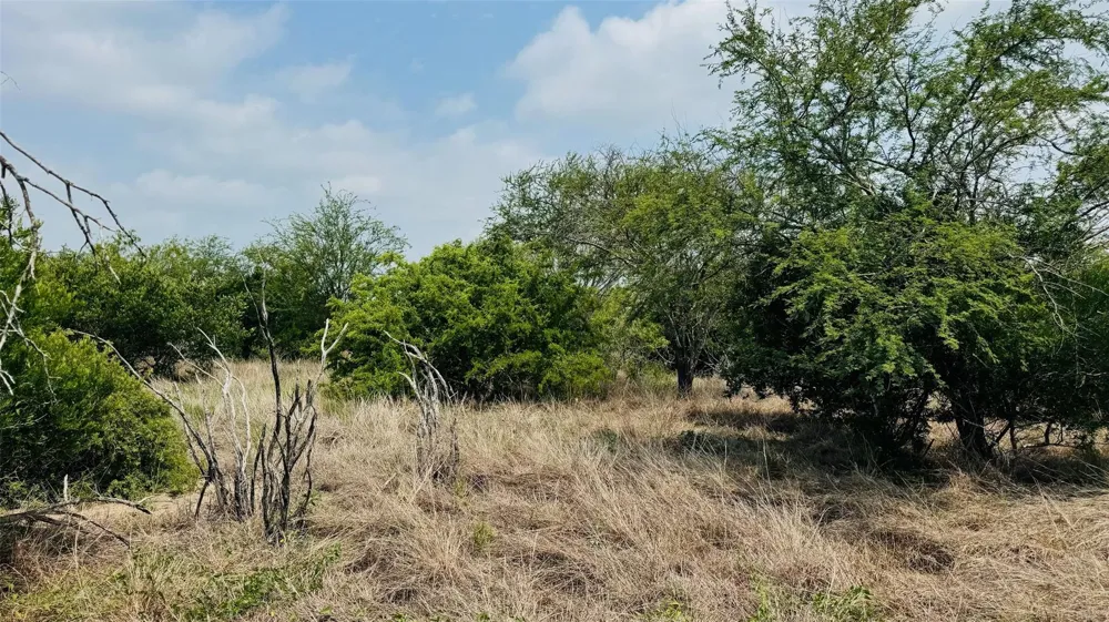 3 Fm 888 Beeville, TX 78102