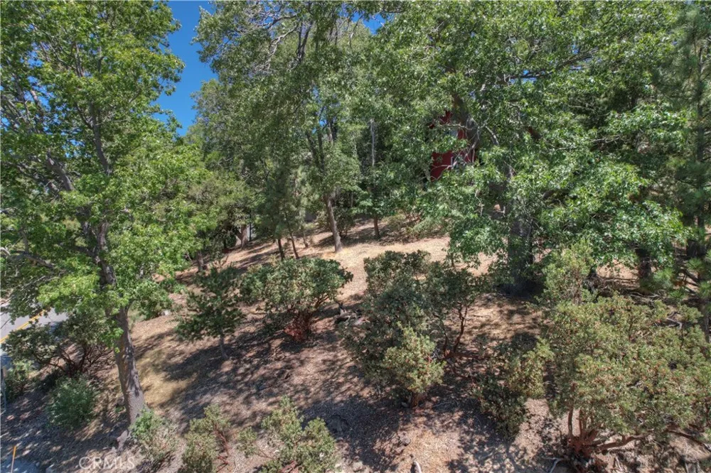 27588 Matterhorn Drive Lake Arrowhead, CA 92352