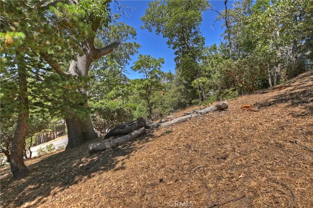 27588 Matterhorn Drive Lake Arrowhead, CA 92352