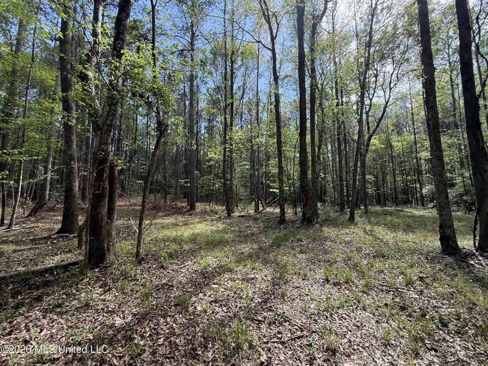 Seymour Road Kilmichael, MS 39747
