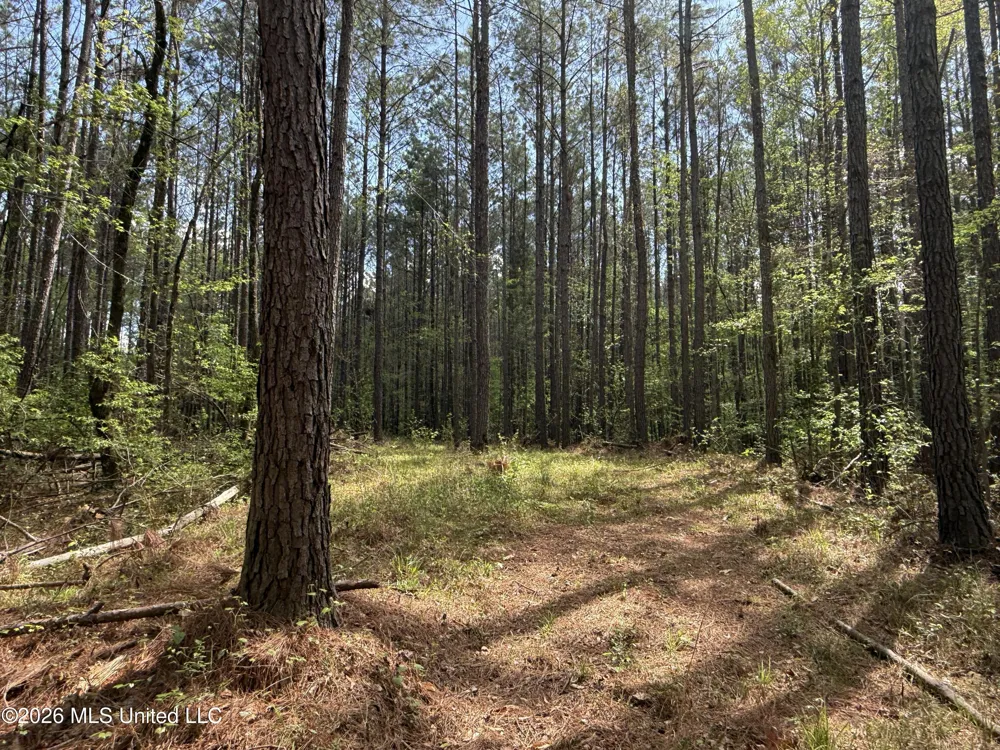 Seymour Road Kilmichael, MS 39747