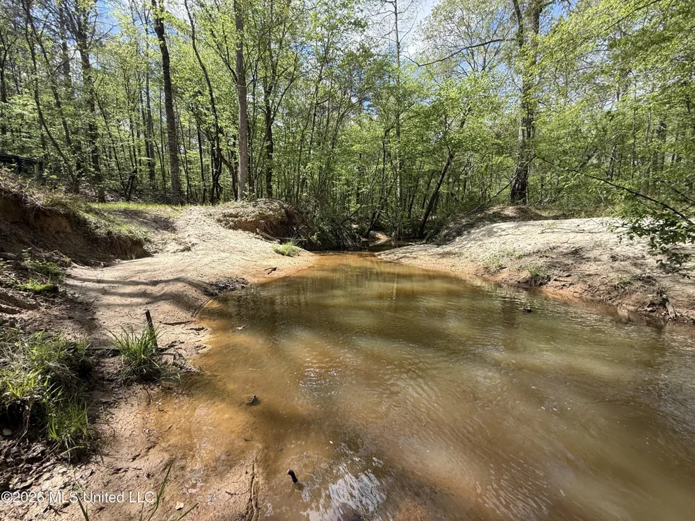 Seymour Road Kilmichael, MS 39747