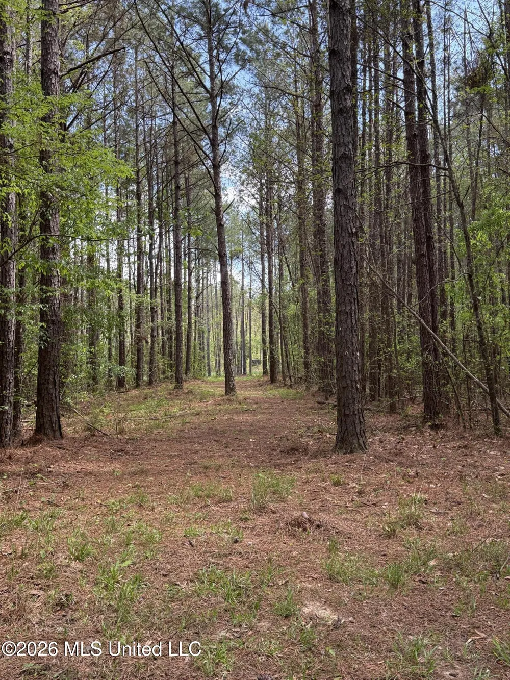 Seymour Road Kilmichael, MS 39747