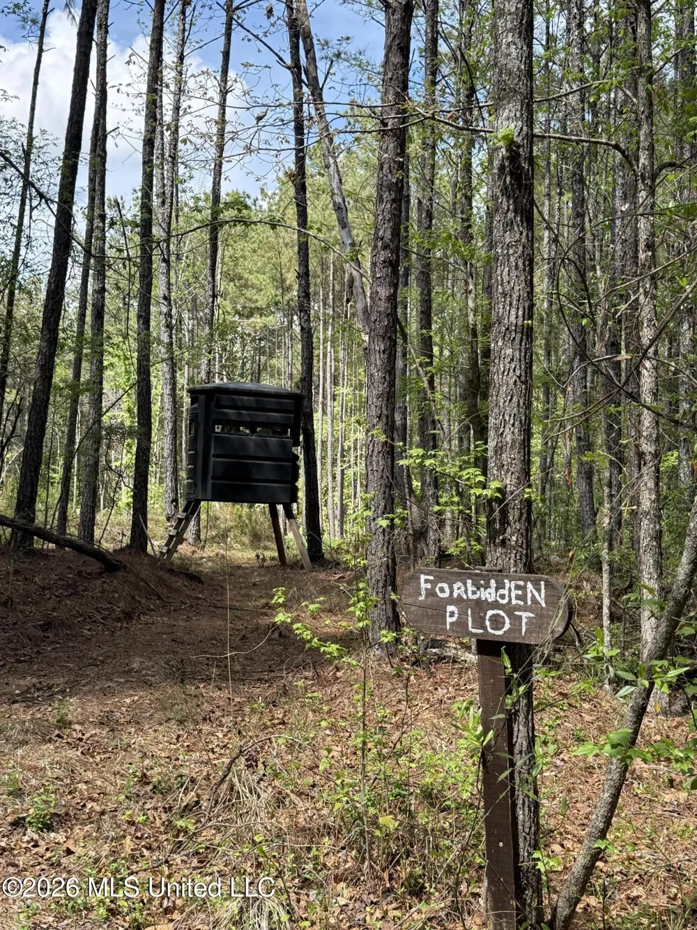 Seymour Road Kilmichael, MS 39747
