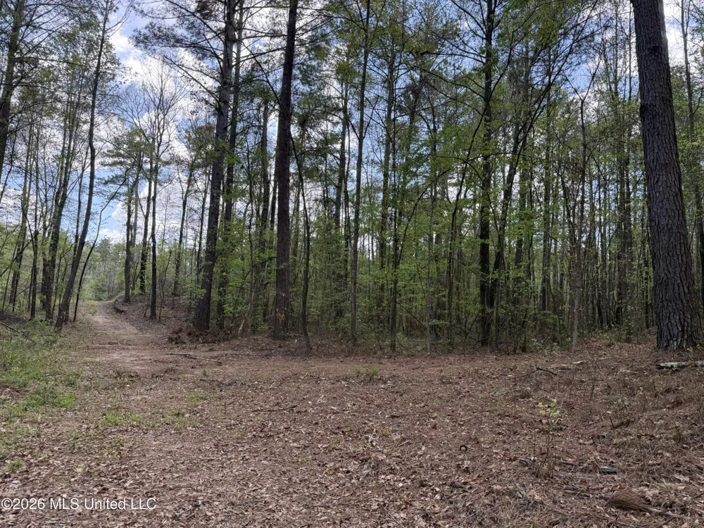Seymour Road Kilmichael, MS 39747