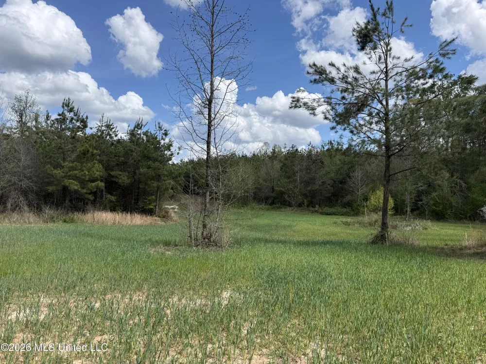 Seymour Road Kilmichael, MS 39747