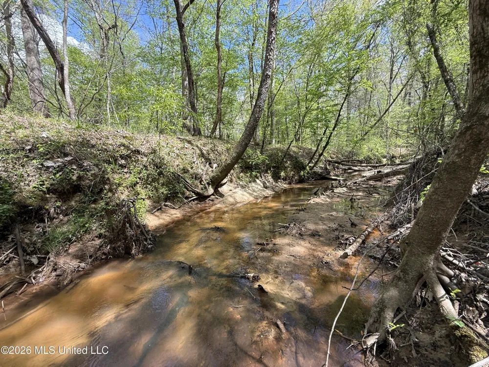 Seymour Road Kilmichael, MS 39747