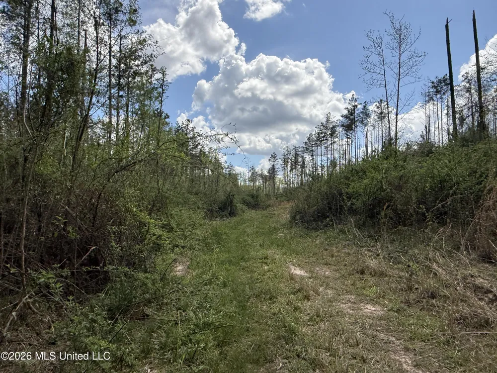 Seymour Road Kilmichael, MS 39747