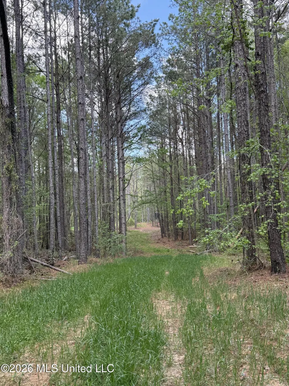 Seymour Road Kilmichael, MS 39747