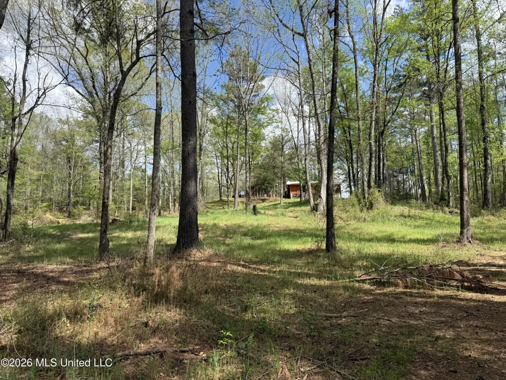 Seymour Road Kilmichael, MS 39747