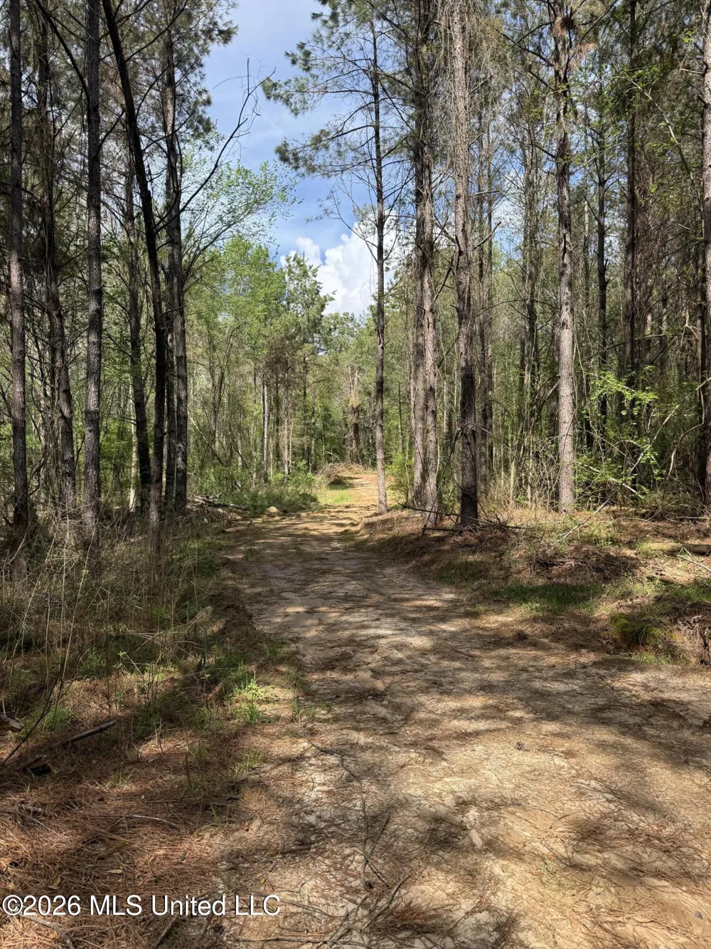 Seymour Road Kilmichael, MS 39747
