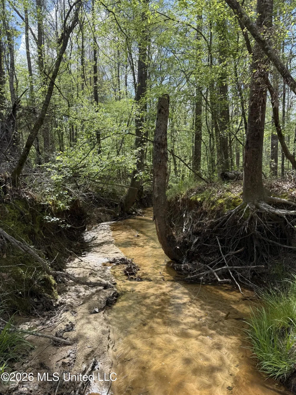 Seymour Road Kilmichael, MS 39747
