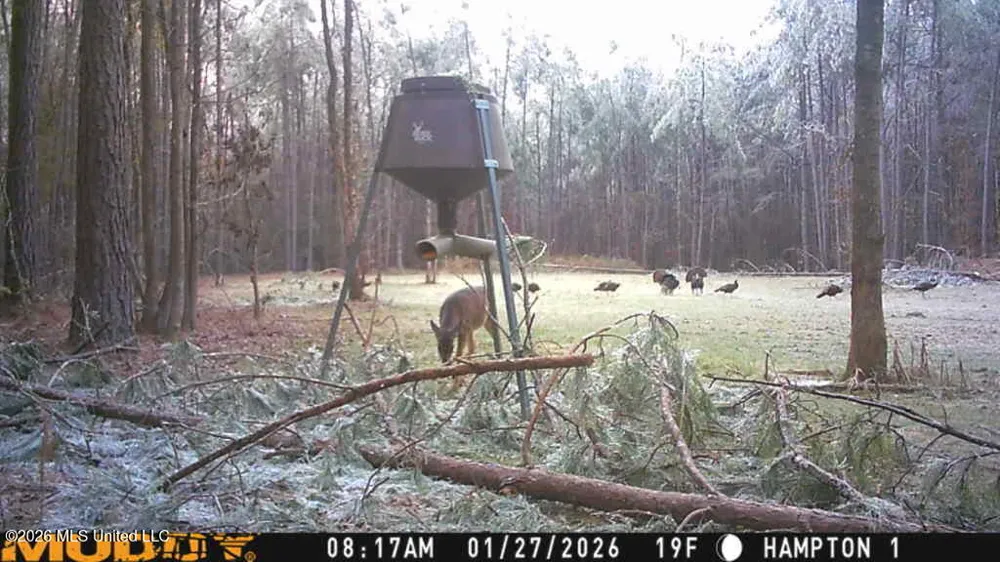 Seymour Road Kilmichael, MS 39747