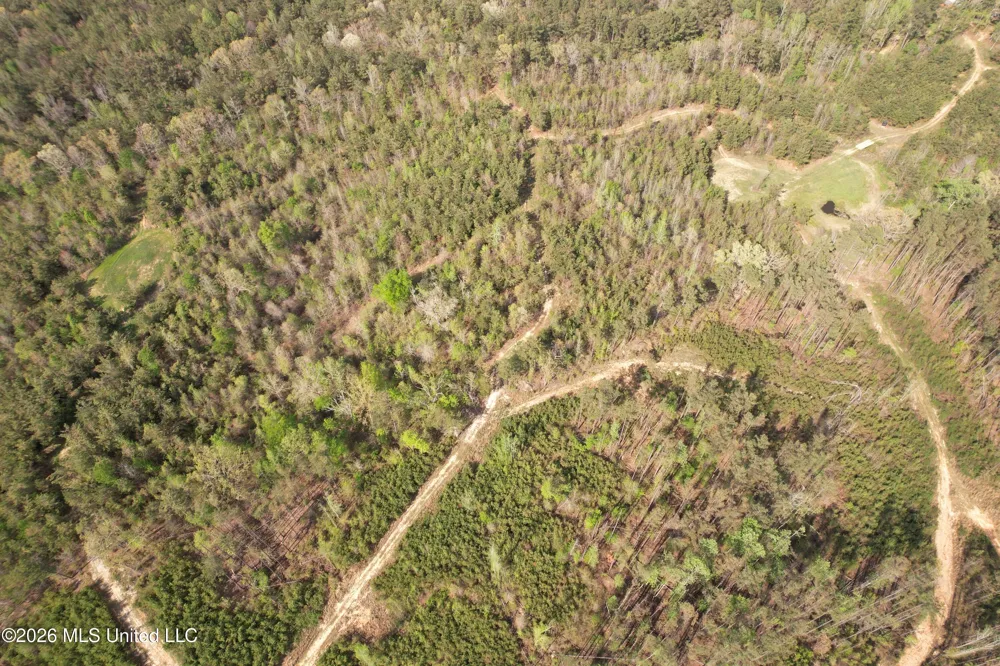 Seymour Road Kilmichael, MS 39747