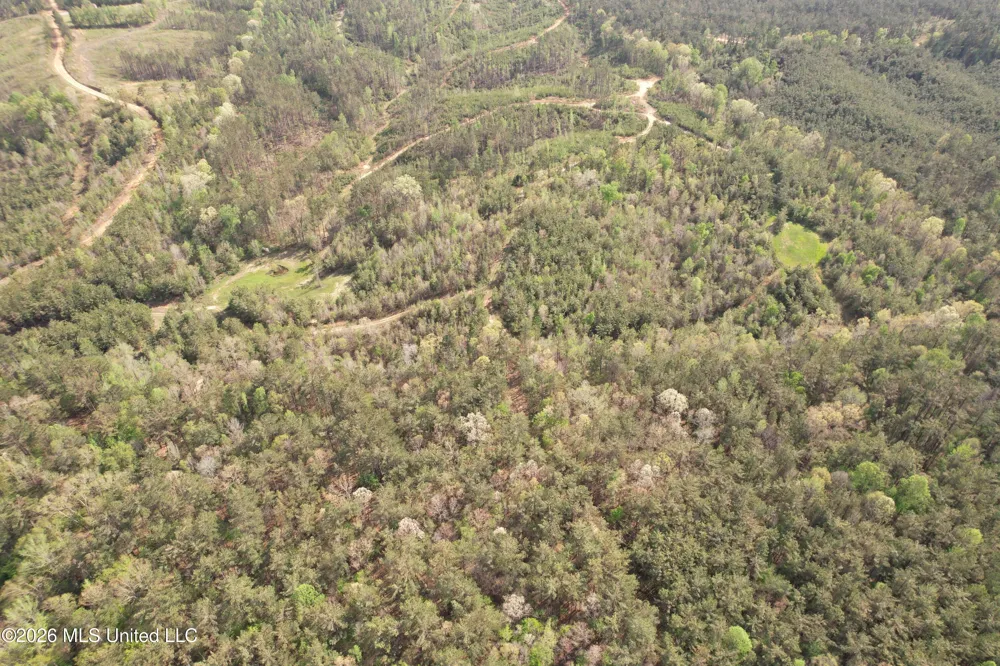 Seymour Road Kilmichael, MS 39747