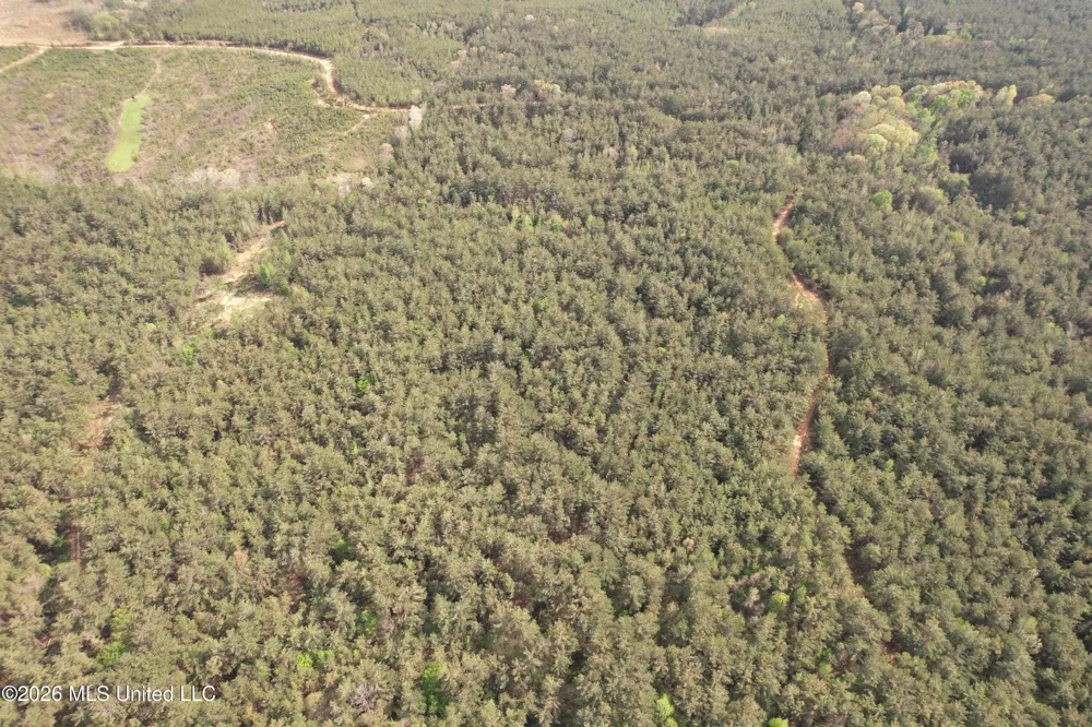 Seymour Road Kilmichael, MS 39747
