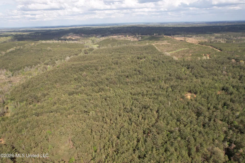 Seymour Road Kilmichael, MS 39747