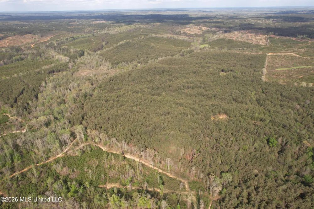 Seymour Road Kilmichael, MS 39747