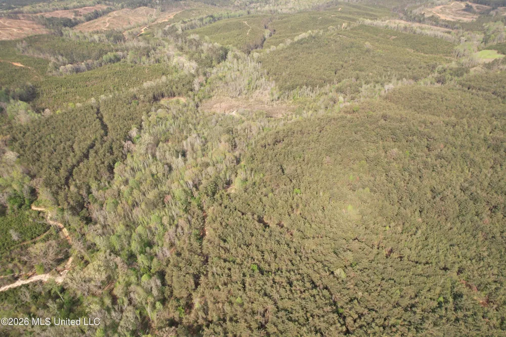 Seymour Road Kilmichael, MS 39747