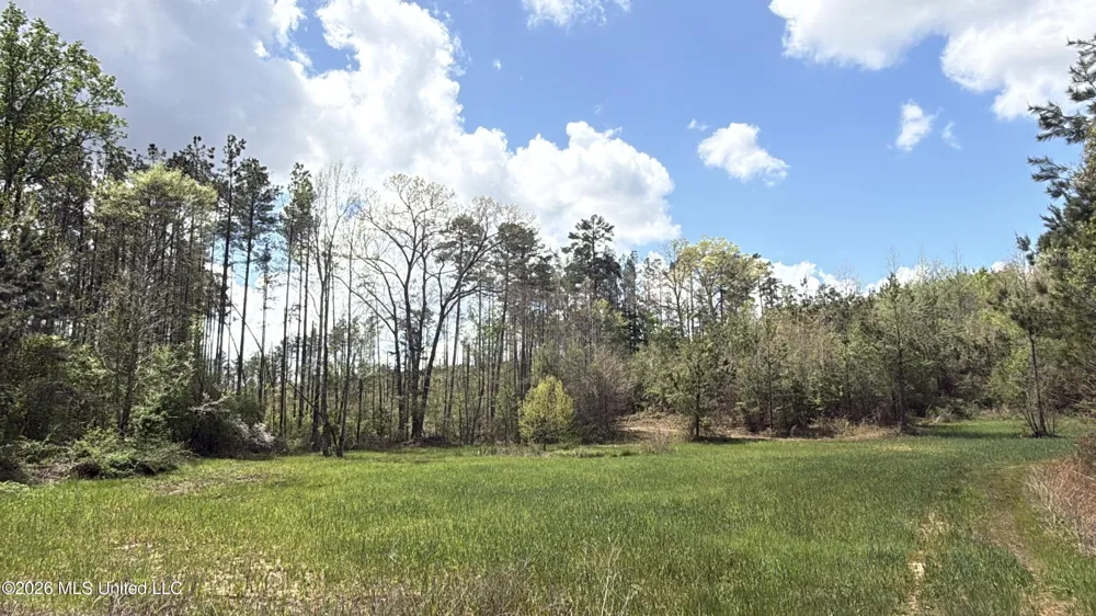 Seymour Road Kilmichael, MS 39747