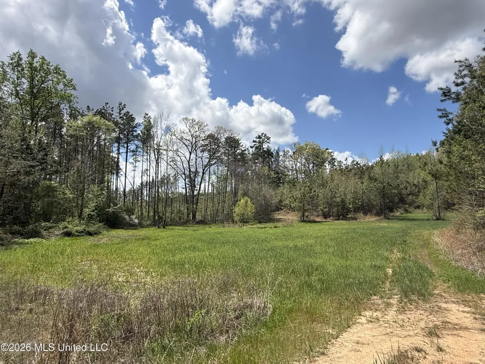 Seymour Road Kilmichael, MS 39747