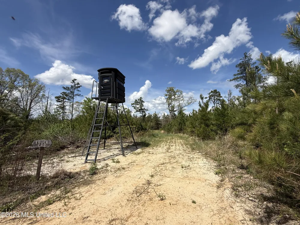 Seymour Road Kilmichael, MS 39747