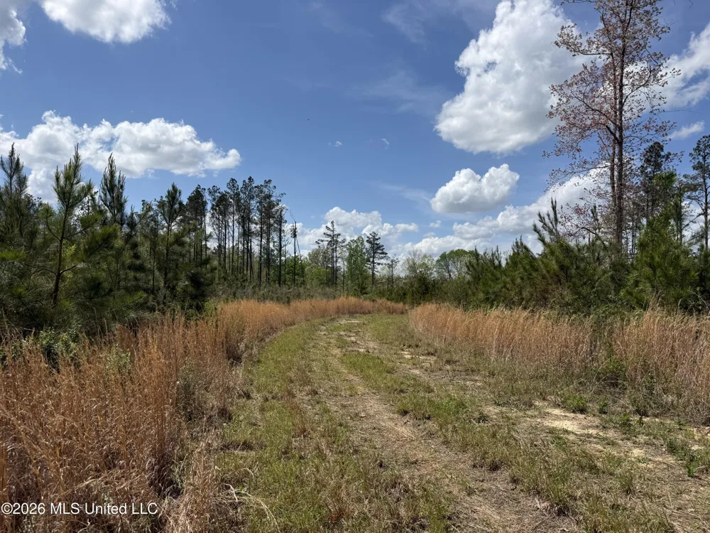 Seymour Road Kilmichael, MS 39747
