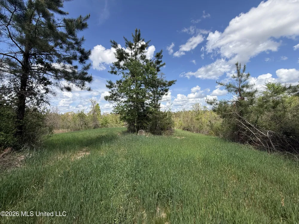 Seymour Road Kilmichael, MS 39747
