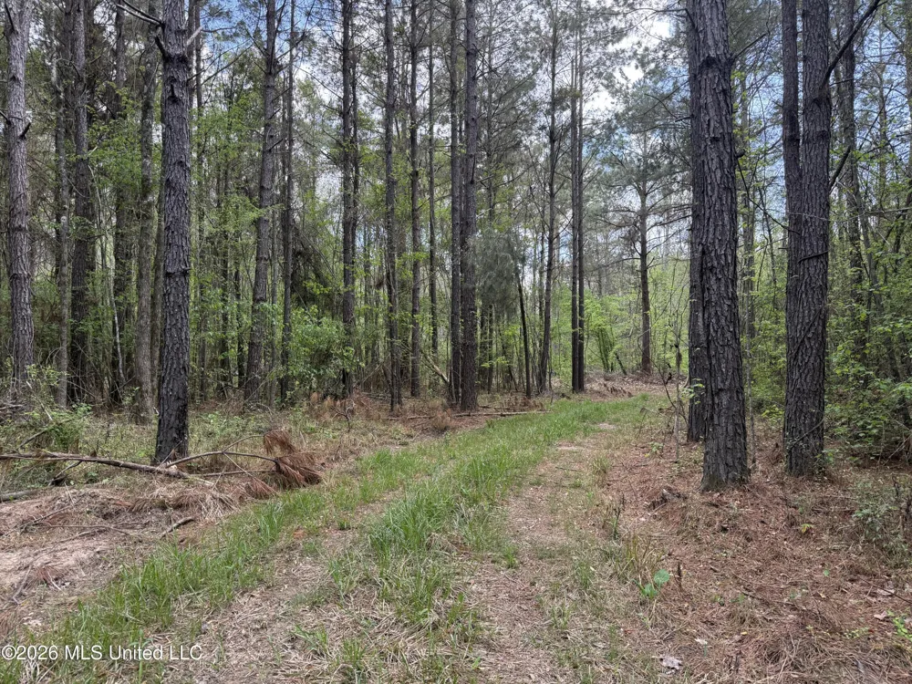 Seymour Road Kilmichael, MS 39747