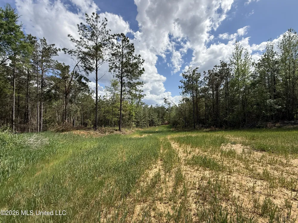 Seymour Road Kilmichael, MS 39747