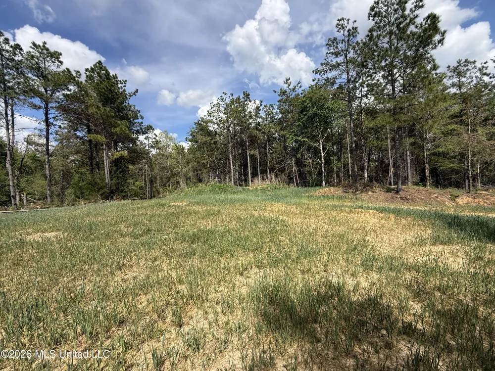 Seymour Road Kilmichael, MS 39747