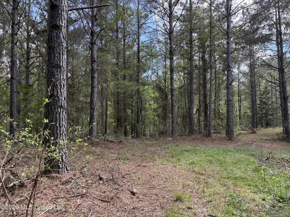 Seymour Road Kilmichael, MS 39747