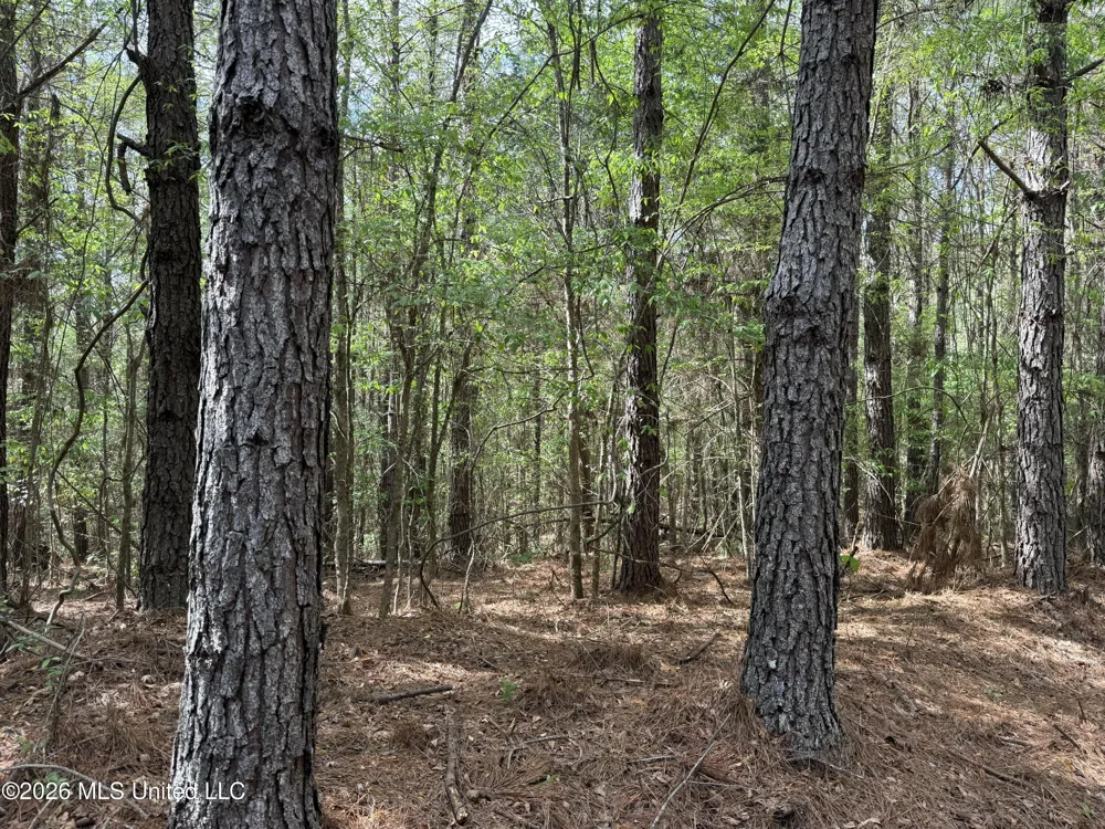 Seymour Road Kilmichael, MS 39747