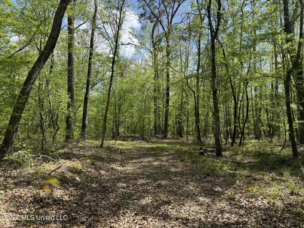 Seymour Road Kilmichael, MS 39747