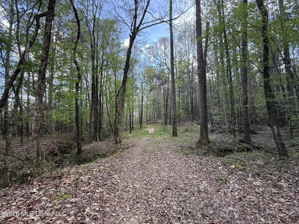 Seymour Road Kilmichael, MS 39747