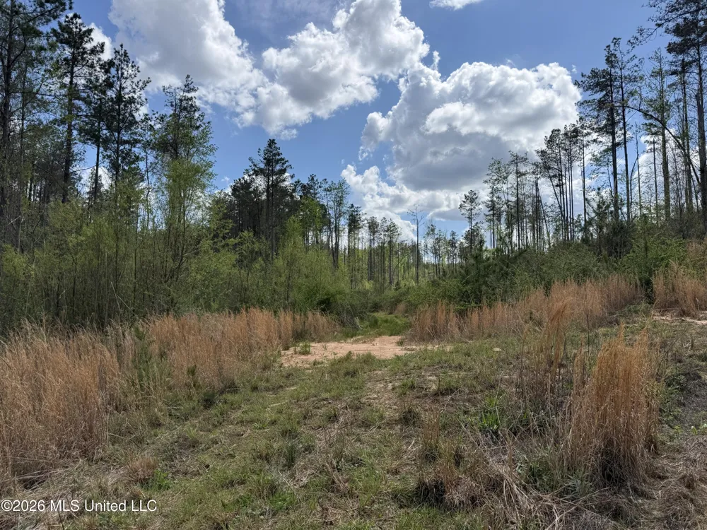 Seymour Road Kilmichael, MS 39747