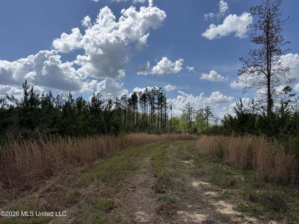 Seymour Road Kilmichael, MS 39747