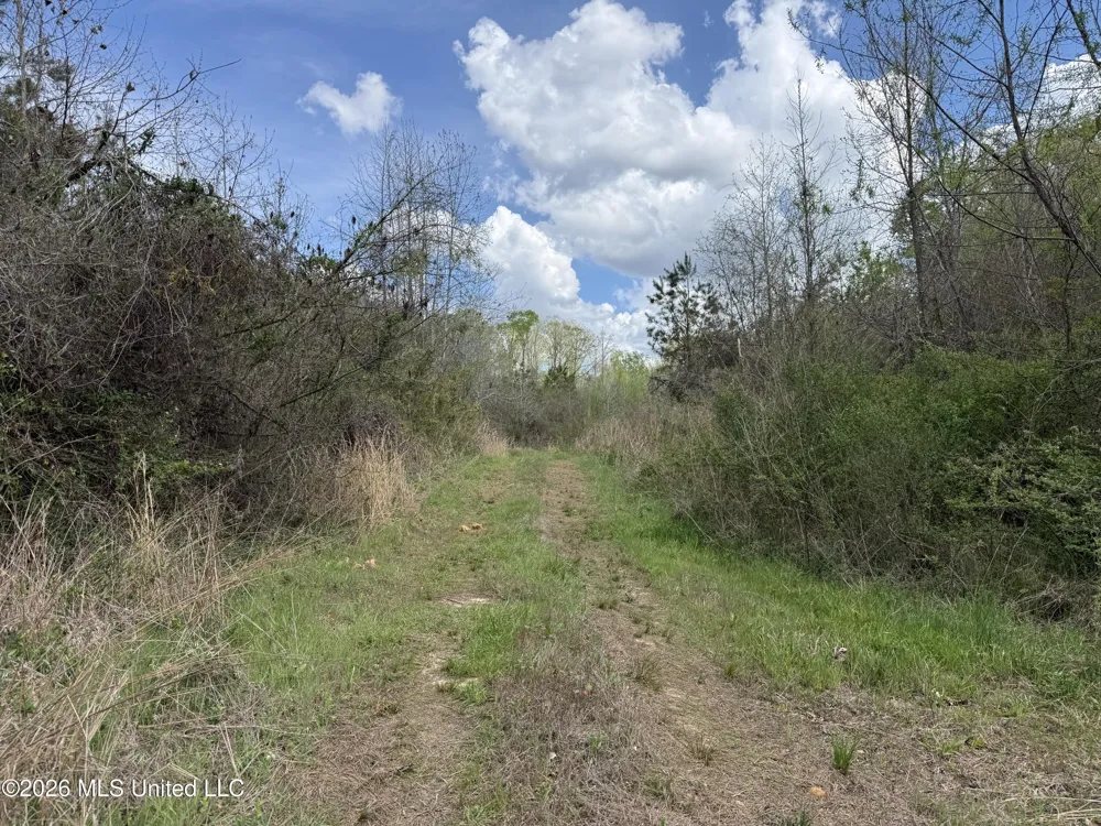 Seymour Road Kilmichael, MS 39747