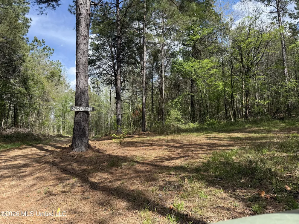 Seymour Road Kilmichael, MS 39747