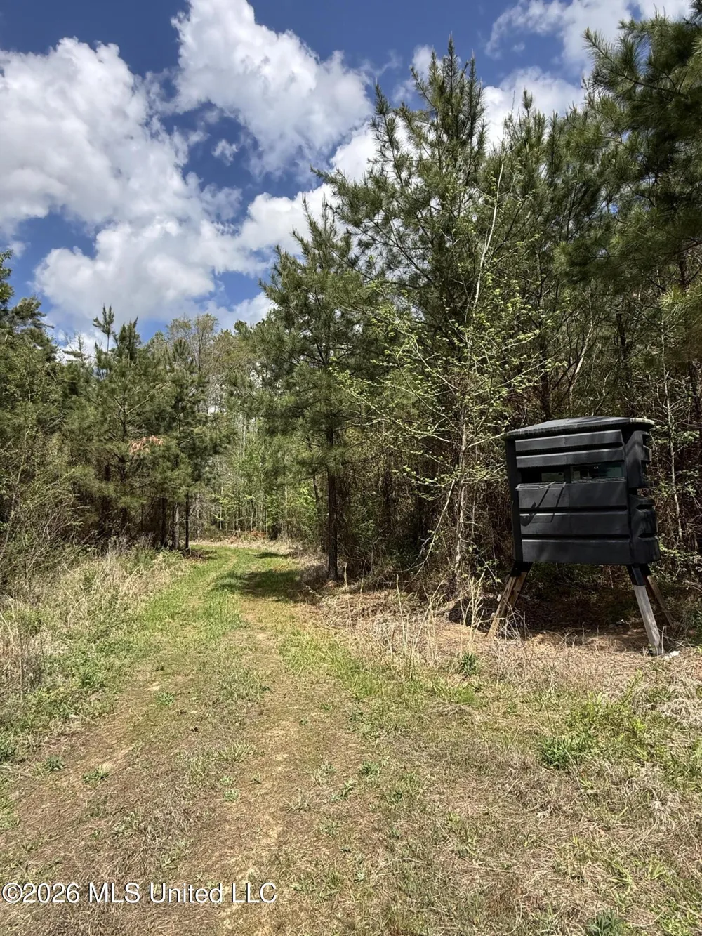 Seymour Road Kilmichael, MS 39747