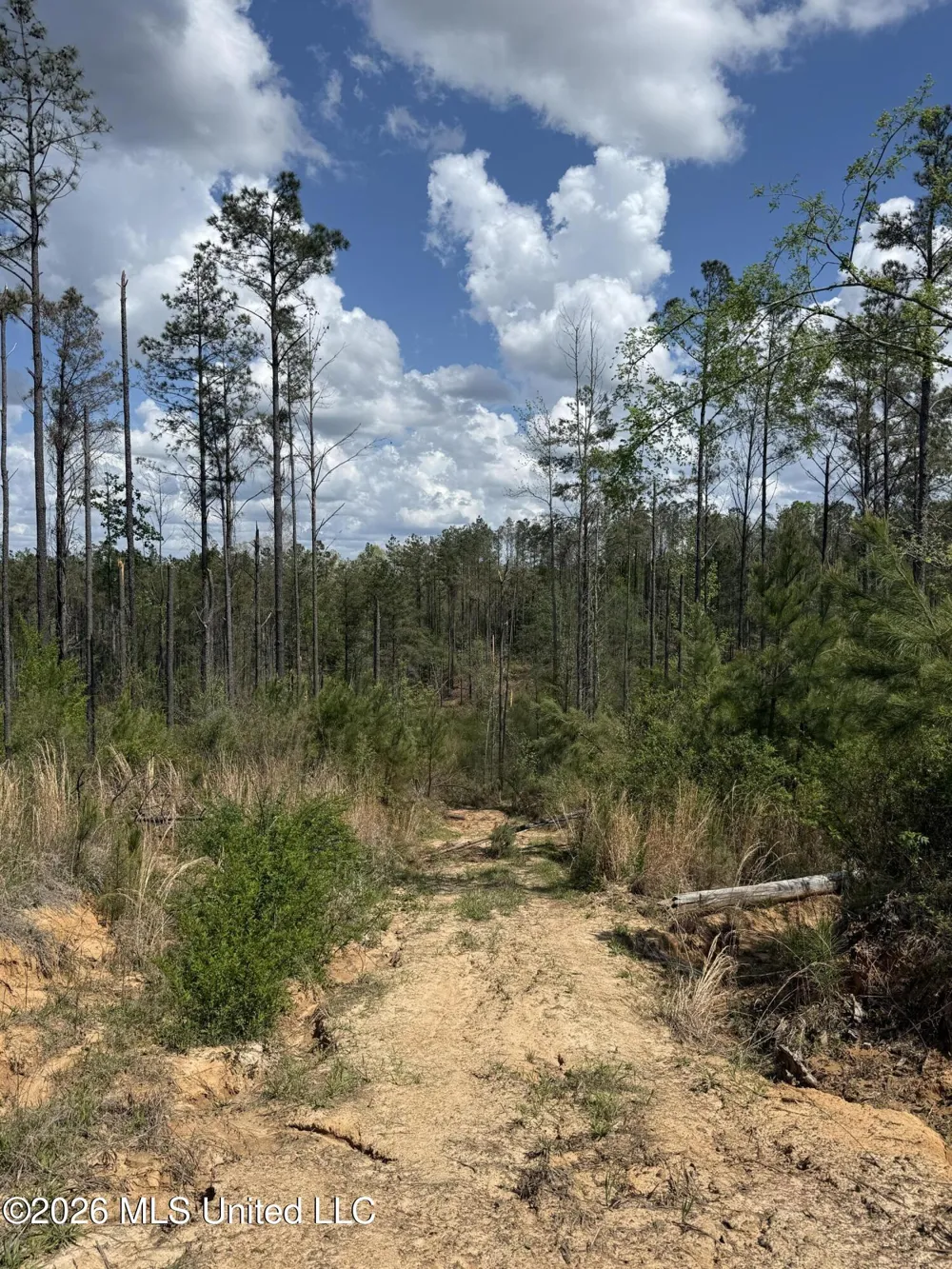 Seymour Road Kilmichael, MS 39747