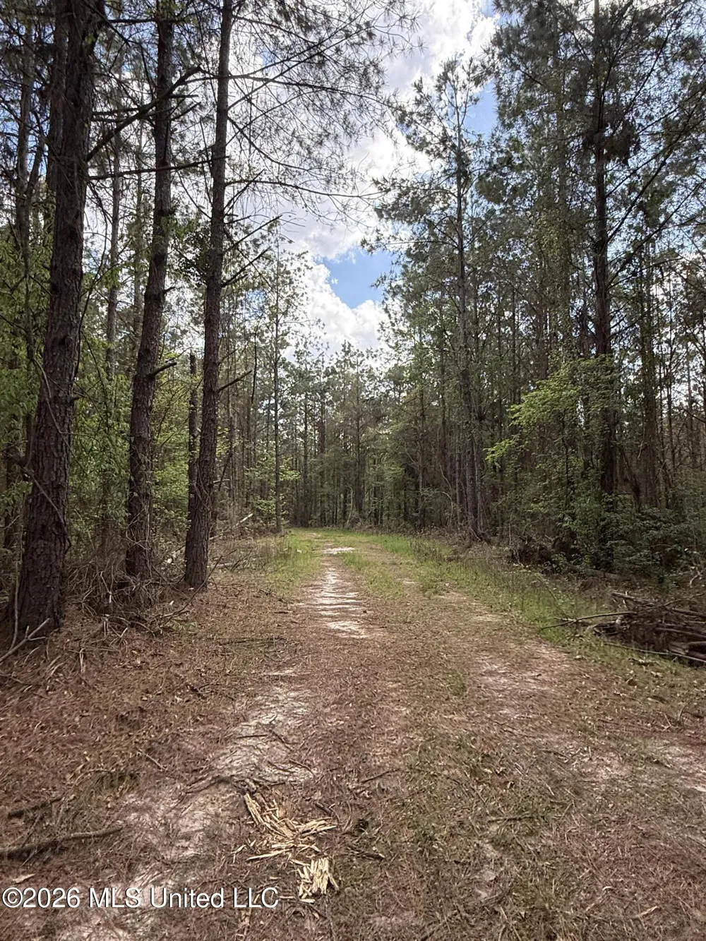 Seymour Road Kilmichael, MS 39747