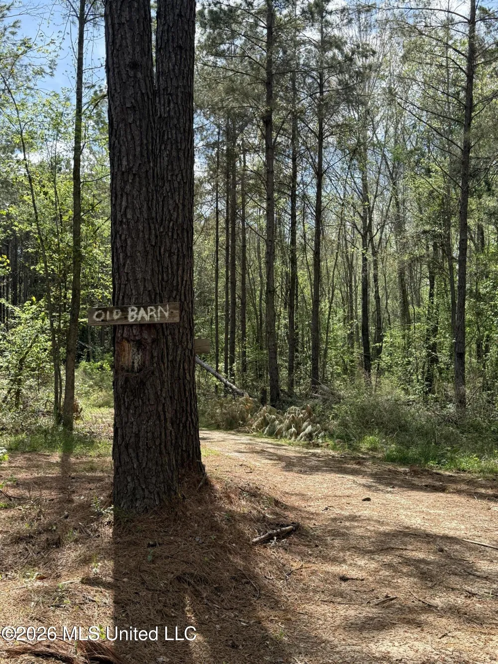 Seymour Road Kilmichael, MS 39747