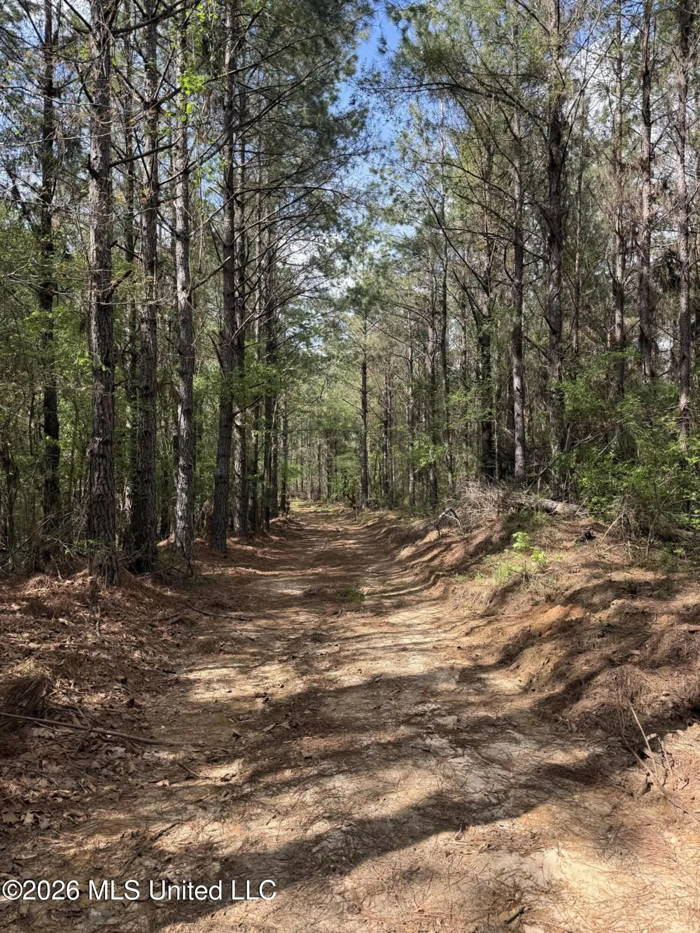 Seymour Road Kilmichael, MS 39747